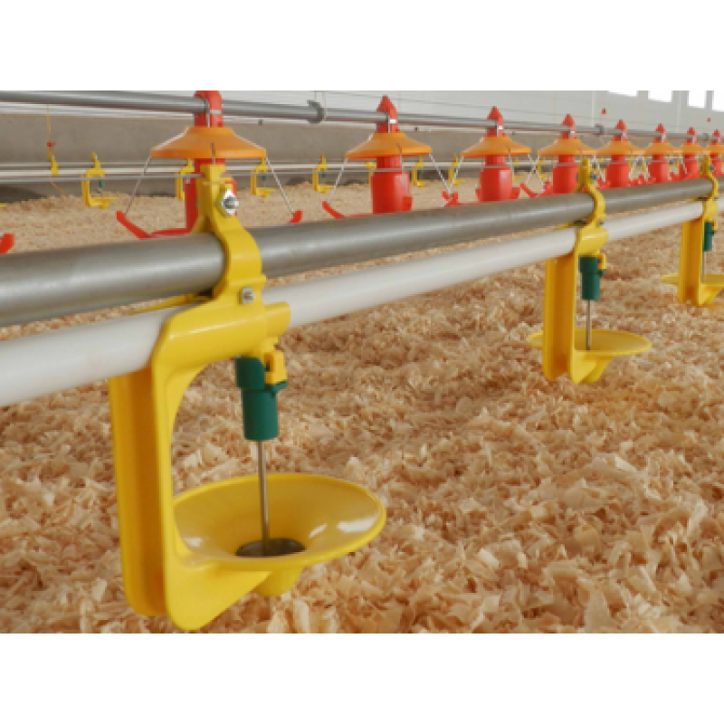 Equipamiento para granja avícola de engorde de pavos