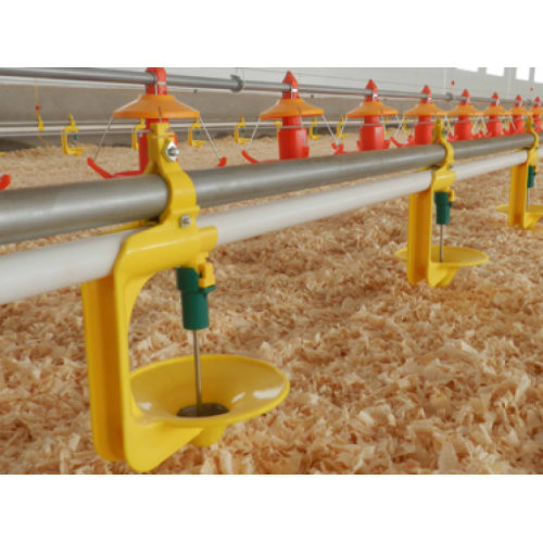 Equipamiento para granja avícola de engorde de pavos