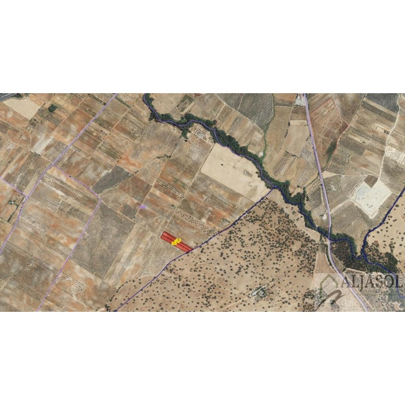 Finca rústica 1,56 HA con olivos y cepas - Chucena (Huelva)