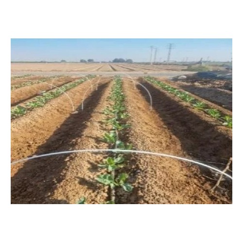 Pinzas de Plástico para Fijación y Entutorar