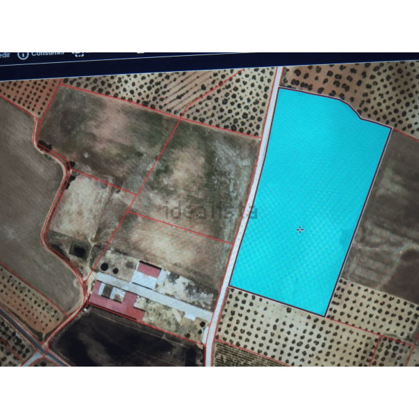 Finca rústica 25.000 M2 - Chucena (Huelva) 2