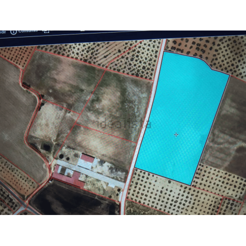 Finca rústica 25.000 M2 - Chucena (Huelva)