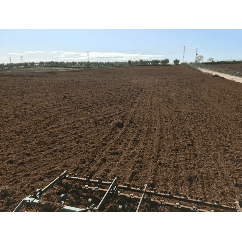 Finca rústica 25.000 M2 - Chucena (Huelva)