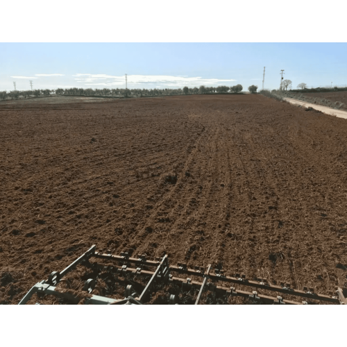 Finca rústica 25.000 M2 - Chucena (Huelva)