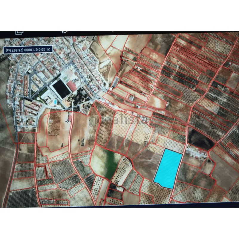 Finca rústica 25.000 M2 - Chucena (Huelva)