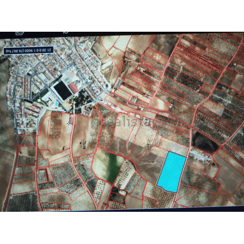 Finca rústica 25.000 M2 - Chucena (Huelva)