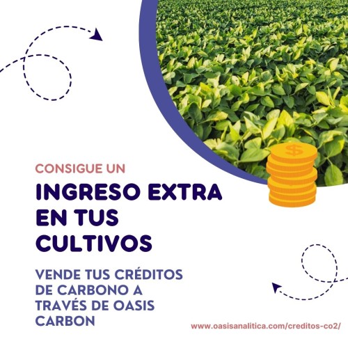 Agricultura de Carbono - CO2