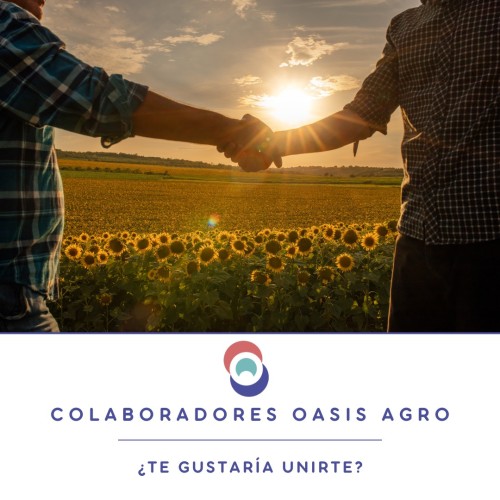 RED COLABORADORES OASIS