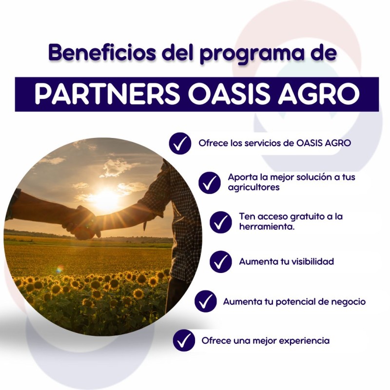 RED COLABORADORES OASIS