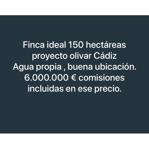 finca agrícola 150 hectáreas proyecto olivar en cádiz