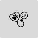 Veterinario 24h