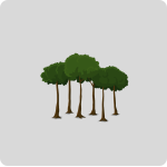 Forestales